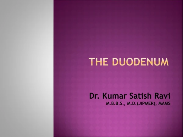 The Duodenum