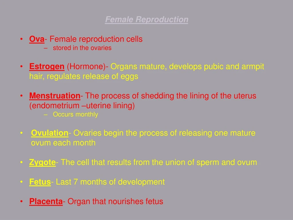 female reproduction ova female reproduction cells