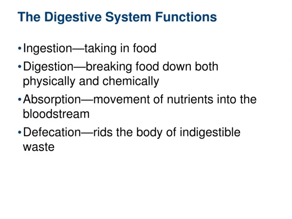 The Digestive System Functions