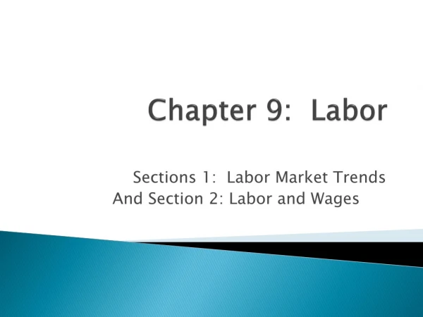 Chapter 9: Labor