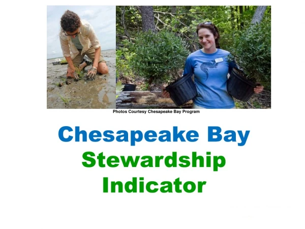 Photos Courtesy Chesapeake Bay Program