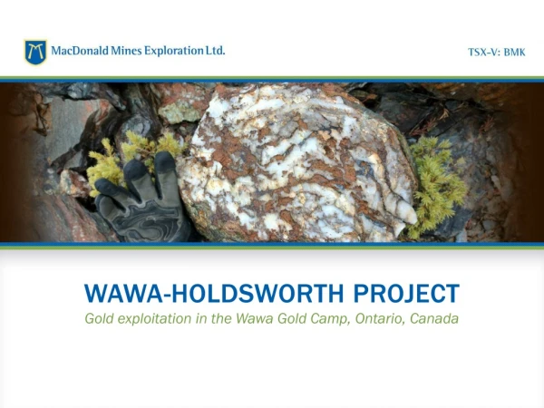 WAWA-HOLDSWORTH PROJECT Gold exploitation in the Wawa Gold Camp, Ontario, Canada