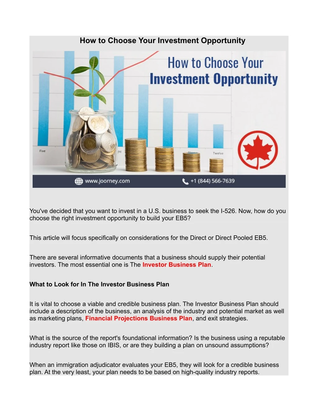 how to choose your investment opportunity