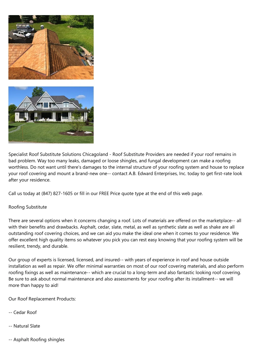 specialist roof substitute solutions chicagoland