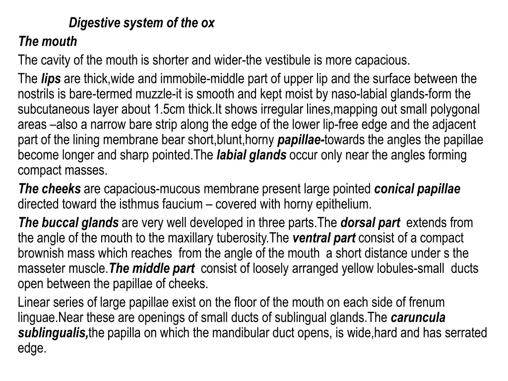 digestive system of the ox the mouth the cavity