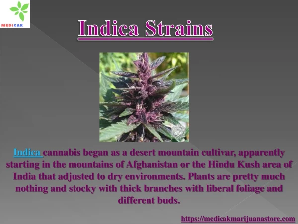 Indica Strains – Medicak Marijuana Store