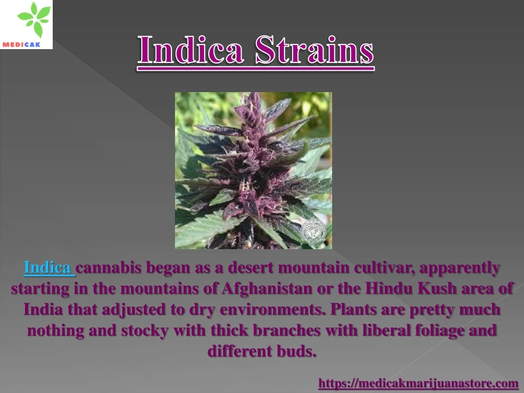 indica strains