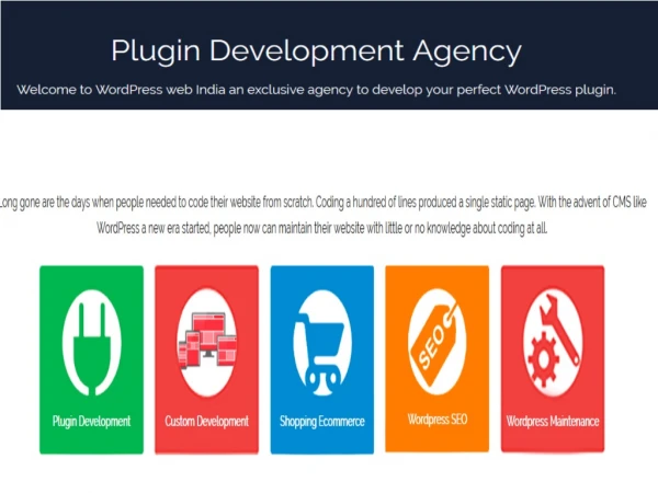 Wordpress Plugin development company in India