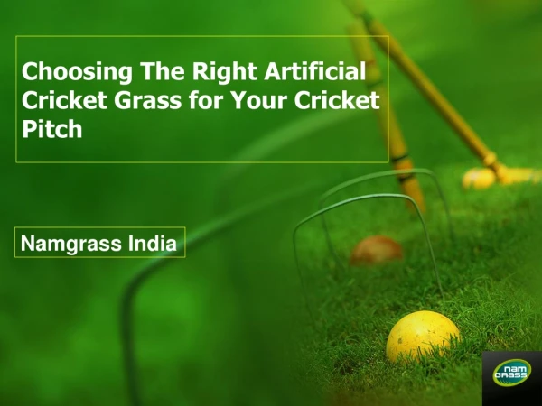 Choosing The Right Artificial Cricket Turf & Grass for Your Cricket Pitch