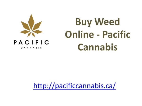 Buy Weed Online - Pacific Cannabis