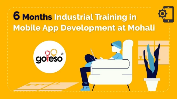 6 Months Industrial Training In Mobile App Development At Mohali
