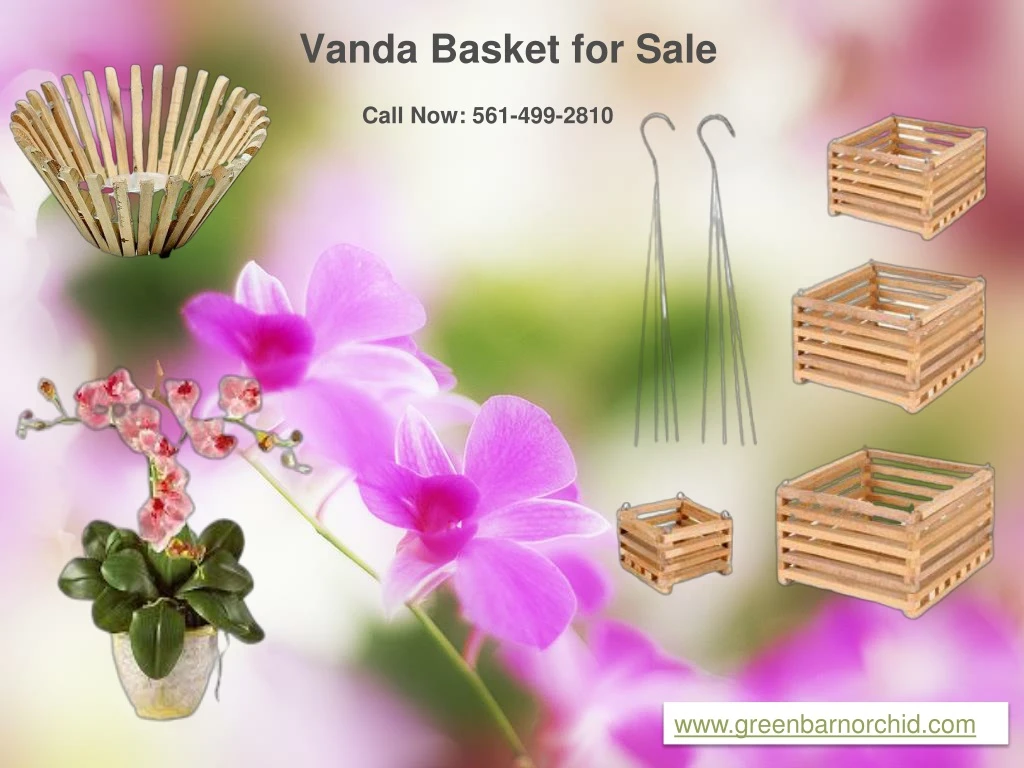 vanda basket for sale