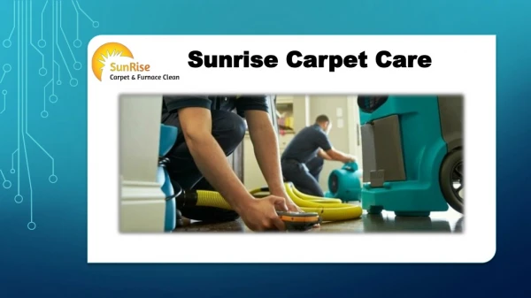 Water Damage Repair Company- Sunrise Carpet Care