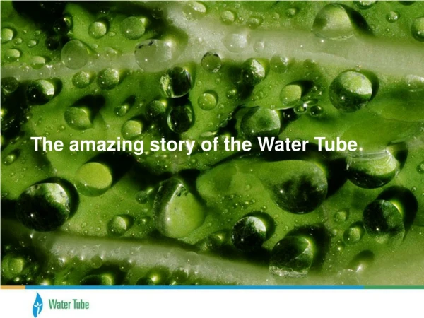 Why buy the Water Tube?