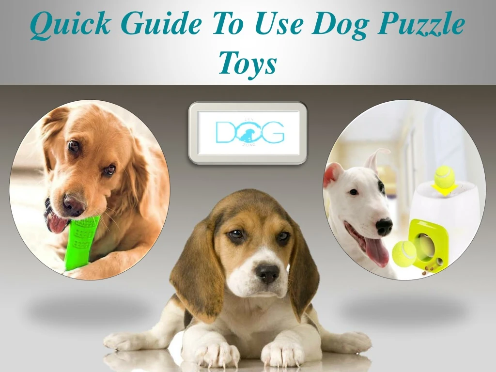 quick guide to use dog puzzle toys