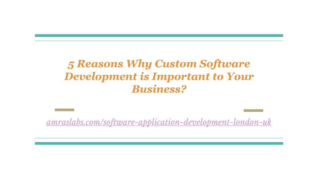 5 reasons why custom software development is important to your business