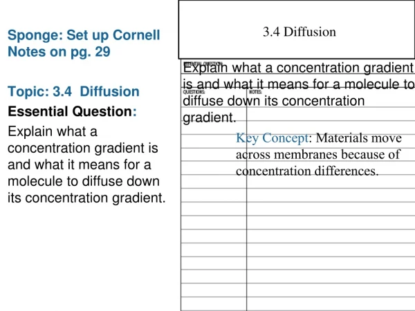 Sponge: Set up Cornell Notes on pg. 29 Topic: 3.4 Diffusion Essential Question :