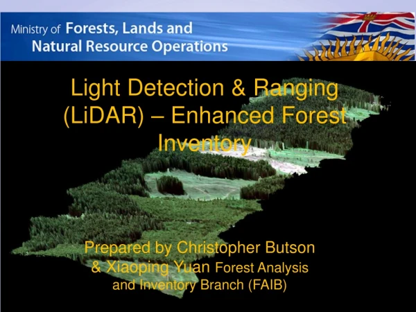 Light Detection &amp; Ranging (LiDAR) – Enhanced Forest Inventory