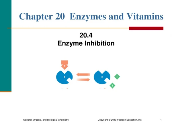 Chapter 20 Enzymes and Vitamins