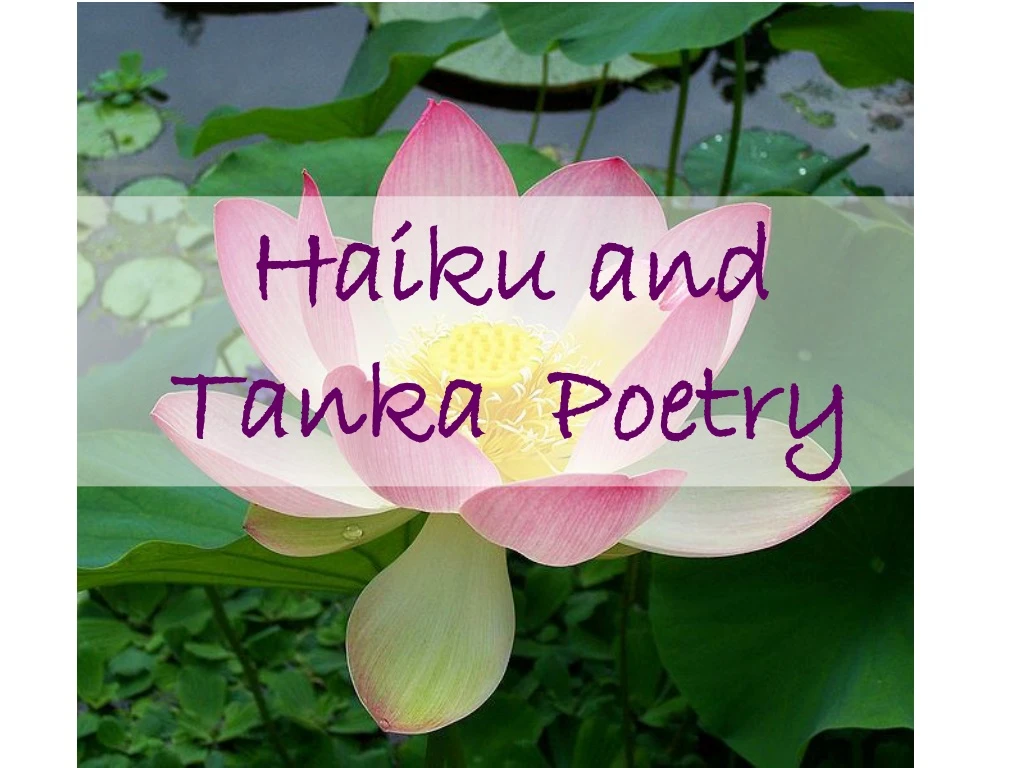 haiku and tanka poetry