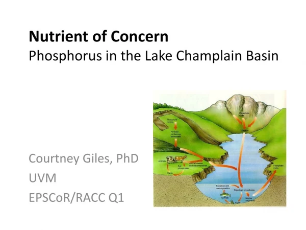 Nutrient of Concern Phosphorus in the Lake Champlain Basin