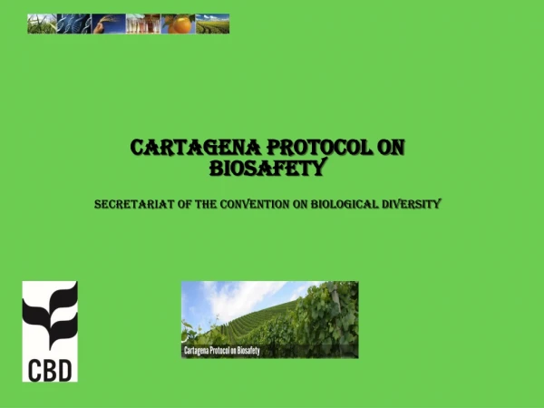 Cartagena Protocol on Biosafety Secretariat of the Convention on Biological Diversity