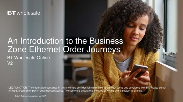 An Introduction to the Business Zone Ethernet Order Journeys