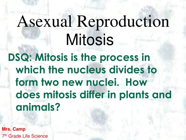 Asexual Reproduction