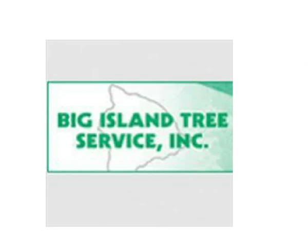 Big Island Tree Service Inc