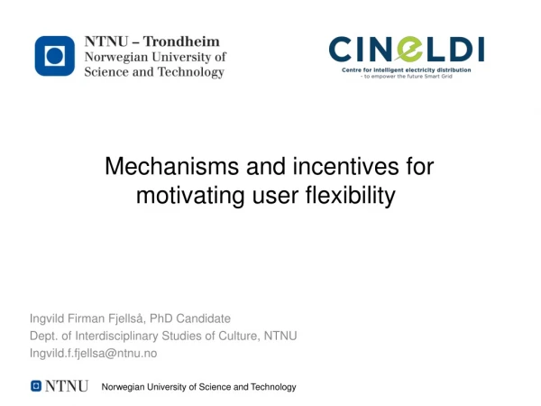 Mechanisms and incentives for motivating user flexibility 