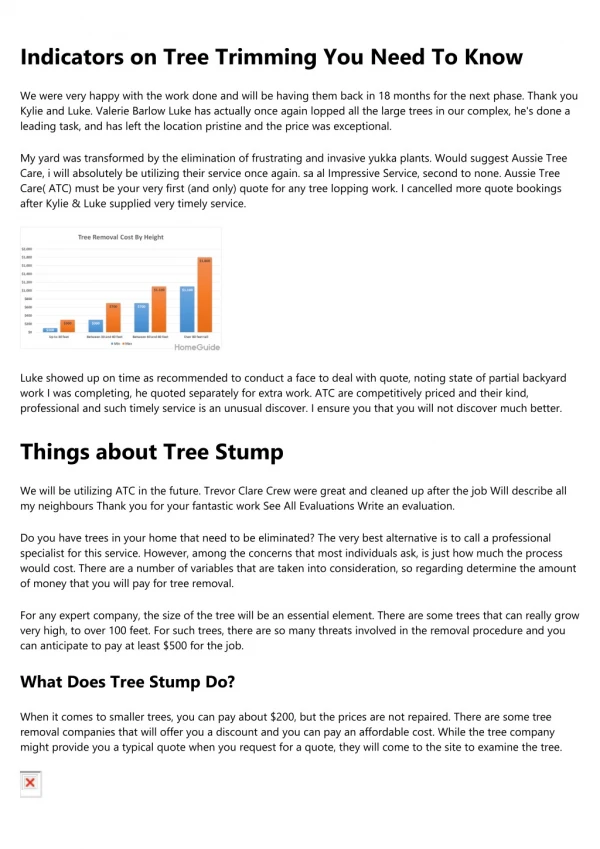 The Most Common Mistakes People Make With Tree And Stump Removal