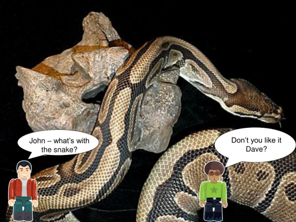 John – what’s with the snake?