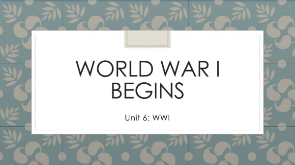 World War I Begins