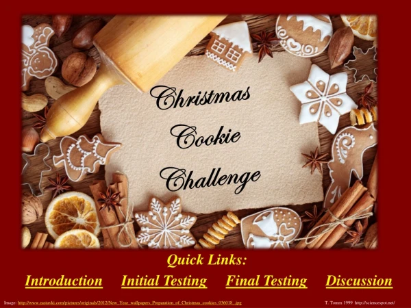 Christmas Cookie Challenge