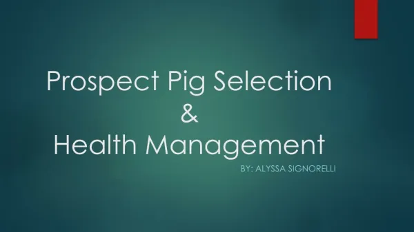 Prospect Pig Selection &amp; Health Management