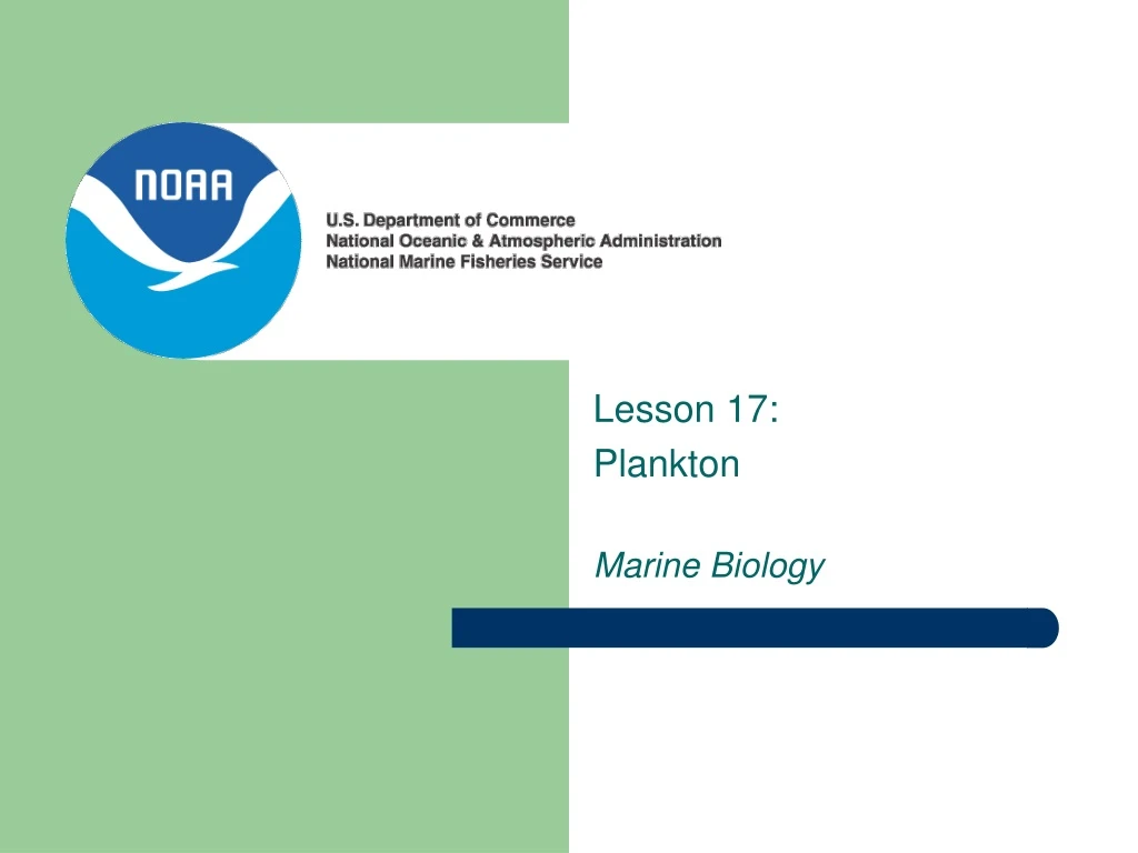 lesson 17 plankton marine biology