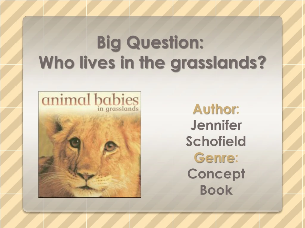 big question who lives in the grasslands