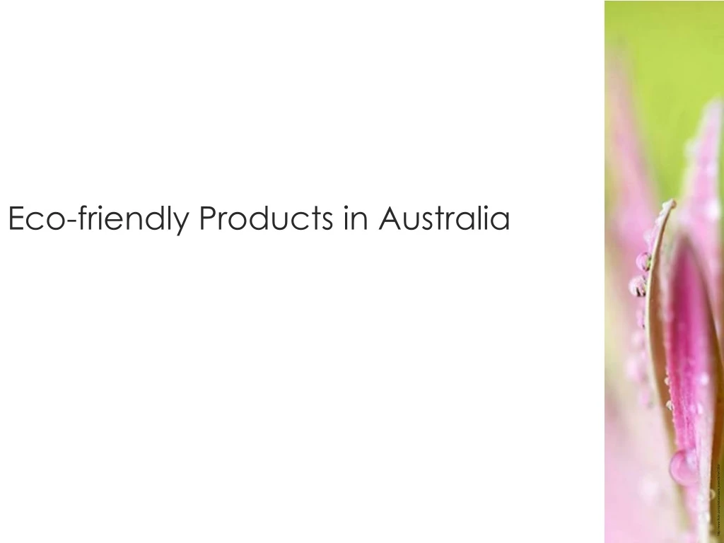 eco friendly products in australia