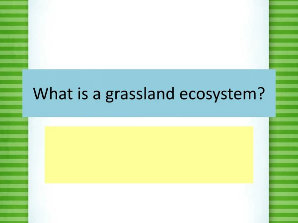 What is a grassland ecosystem?