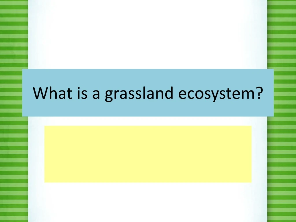 what is a grassland ecosystem