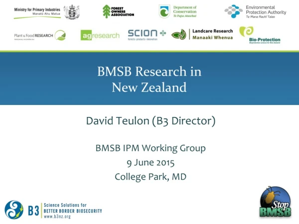 BMSB Research in New Zealand