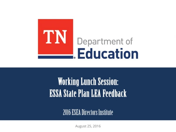 Working Lunch Session: ESSA State Plan LEA Feedback