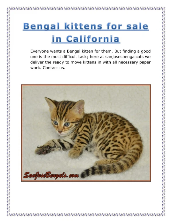 Bengal kittens for sale in california