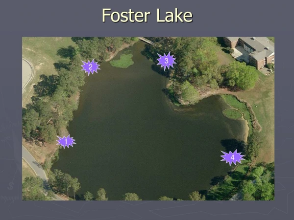 Foster Lake