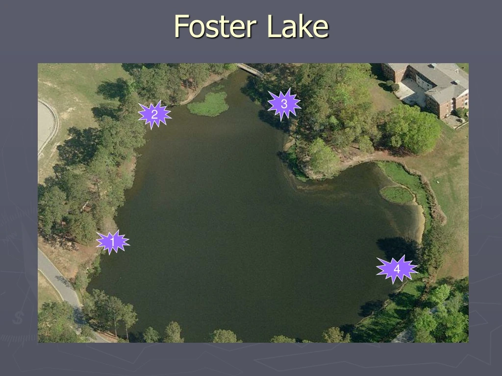 foster lake