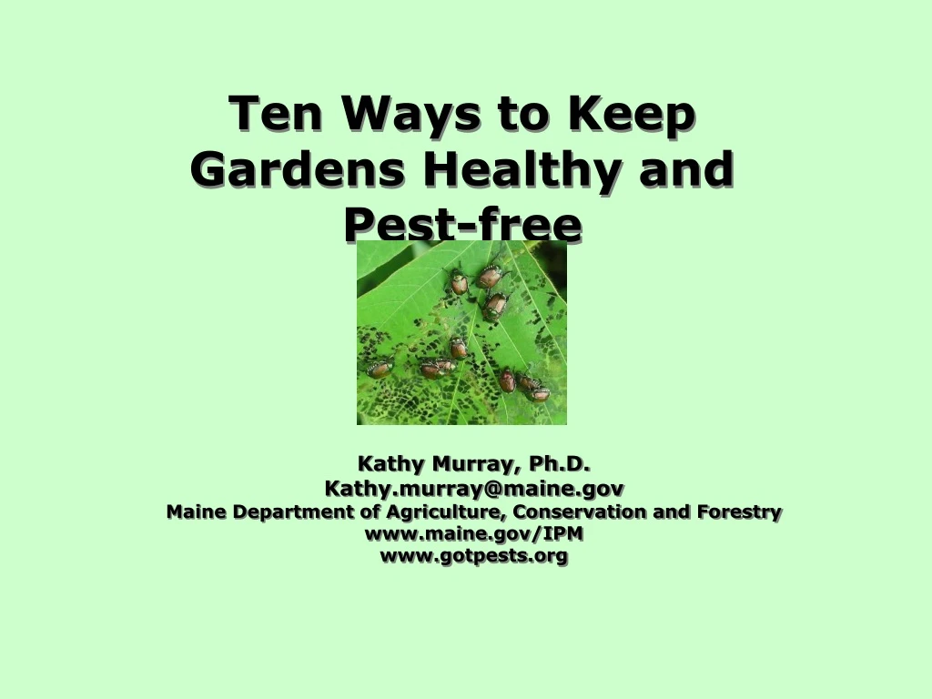 ten ways to keep gardens healthy and pest free