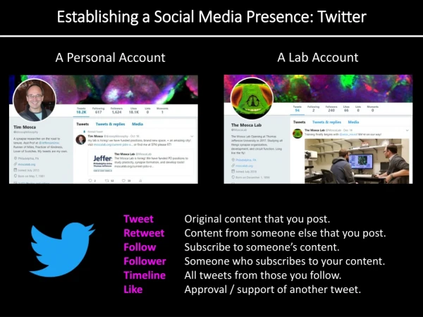 Establishing a Social Media Presence: Twitter