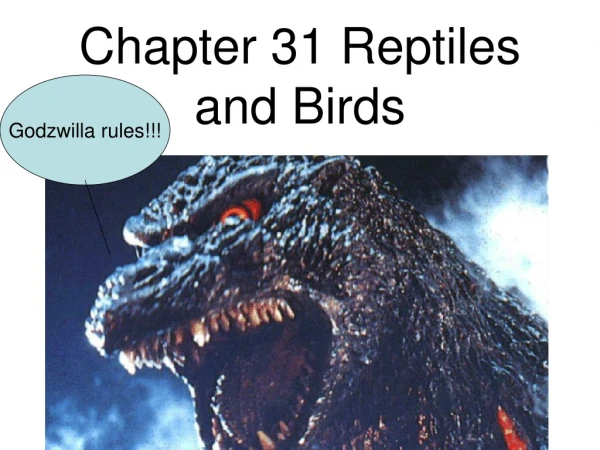 Chapter 31 Reptiles and Birds