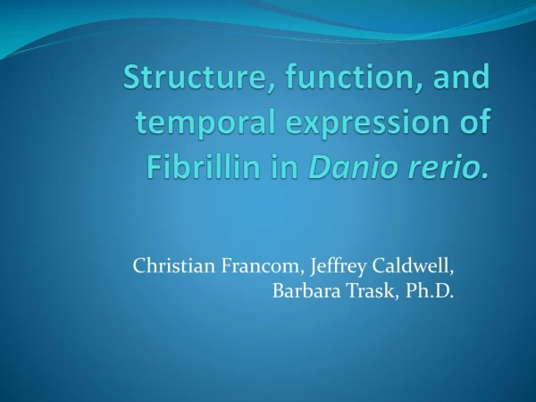Structure, function, and temporal expression of Fibrillin in Danio rerio.