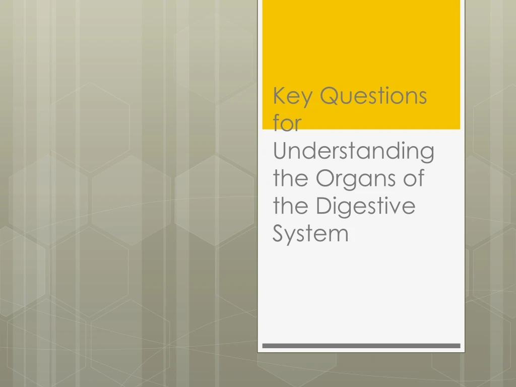 key questions for understanding the organs of the digestive system